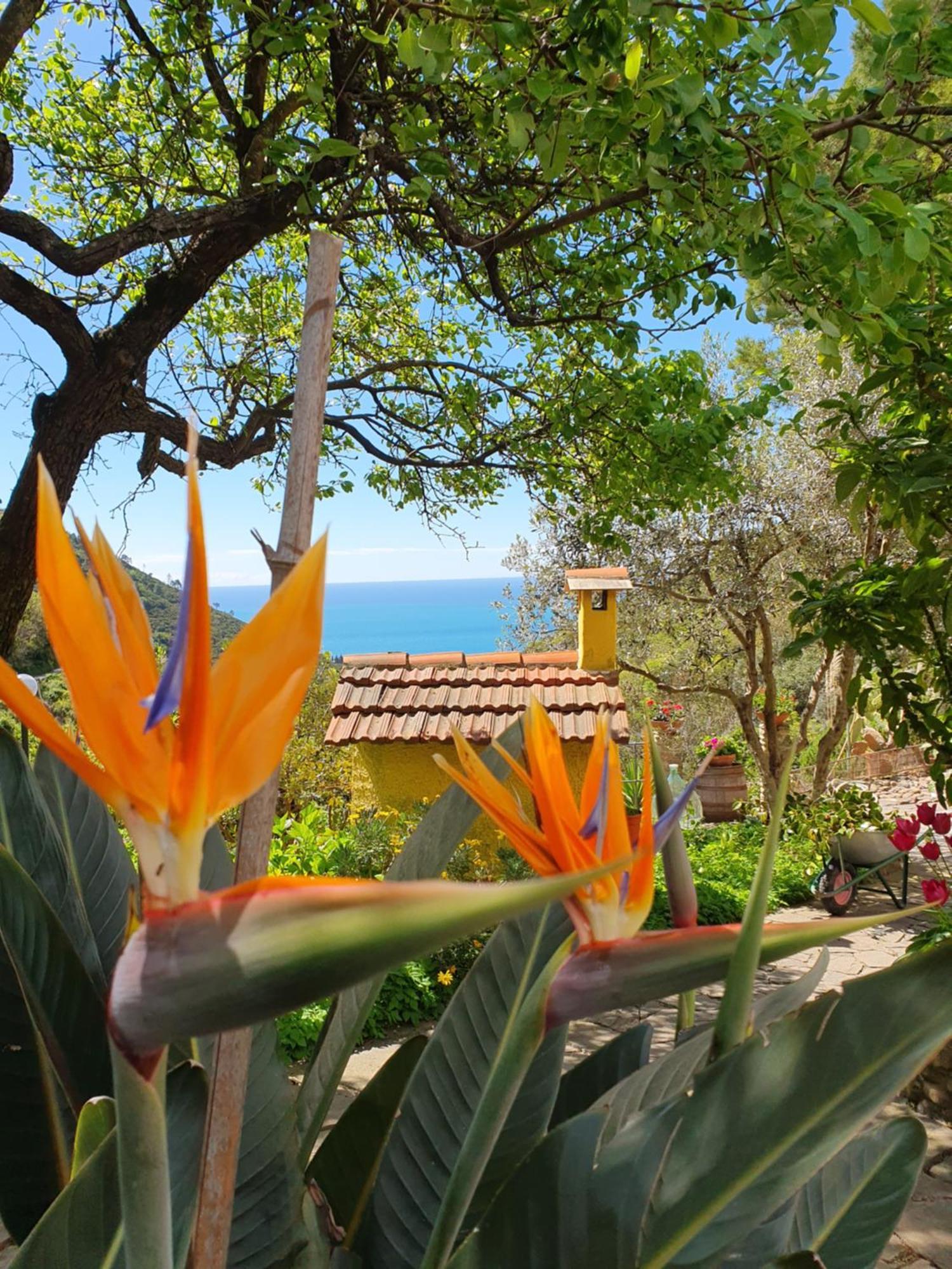 Agriturismo Costa Di Campo Vernazza Exterior photo
